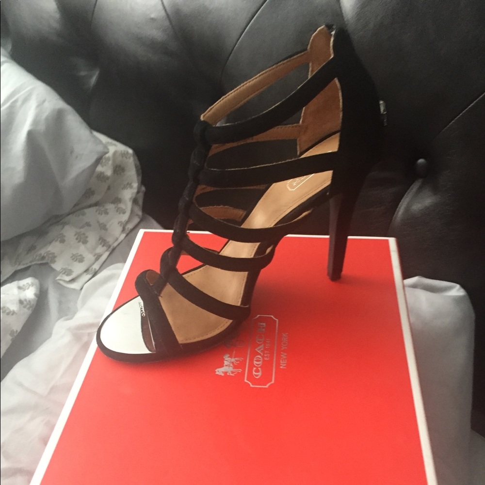 Coach lavania kid suede